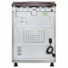 Плита комбінована Eleyus Cast 6001 CF BR